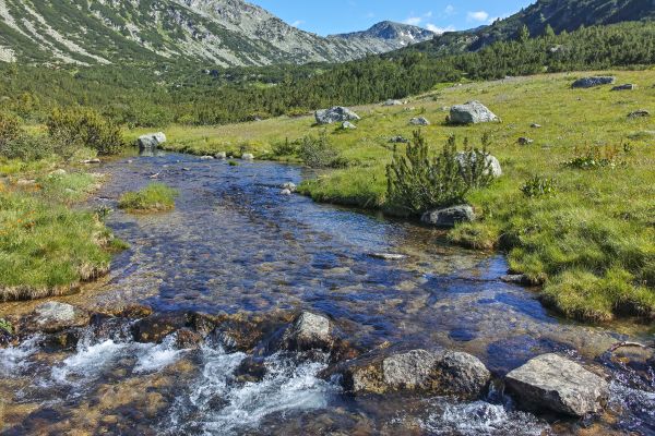 Landschaft mit grünen Wiesen, in der Mitte ein Fluss und im Hintergrund Berge